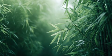 A serene view of bamboo leaves surrounded by mist, creating a peaceful and tranquil atmosphere in nature.