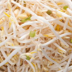 Mung bean sprouts forming an intricate food background