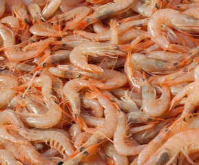 Fresh mediterranean prawns forming appetizing background