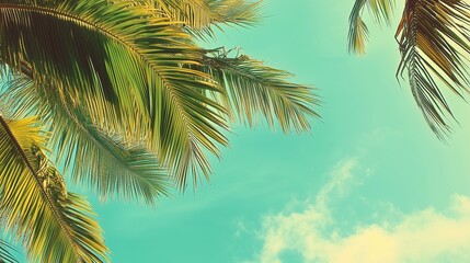 Fototapeta premium Palm tree green leaves copy space blue sky low view