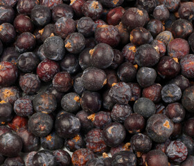 Dried juniper berries filling the frame for a food background