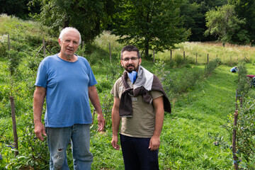 Fototapeta premium Father and Son Farmers Inspecting the Quality of Their Blueberry Harvest Together.