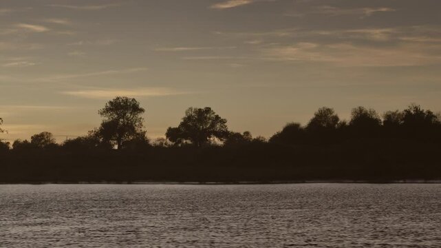 Filming of the Tejo  River in Portugal with sunset and trees.