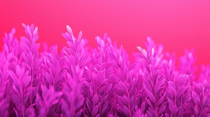 Obraz premium A vibrant close-up of pink foliage against a soft pink background creates a dreamy and colorful visual effect.