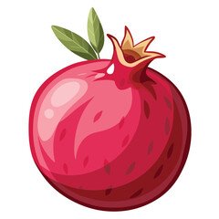 pomegranate isolated on white background