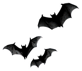Fototapeta premium PNG Silhouette flying 3 bats background wildlife animal.