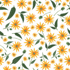Topinambur Flower Seamless Pattern. Hand Drawn Floral Digital Paper on White Background.