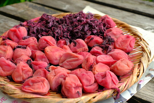 pickled plums is drying in the sun