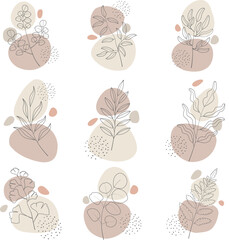 Boho Style Collection of Decorative Plant Illustrations