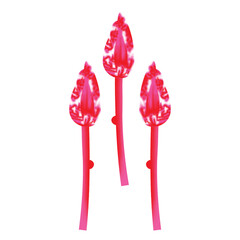 Three pink flowers with a black background

The design shows three objects that resemble red and pink flamingo lawn ornaments against a black background. Each object has a long, thin pink leg leading 