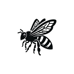 illustration of a bee