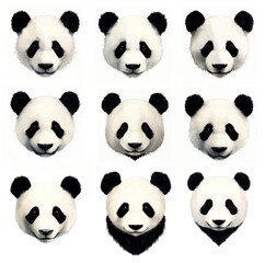 Fototapeta premium Collection of adorable panda faces on a white isolated background.