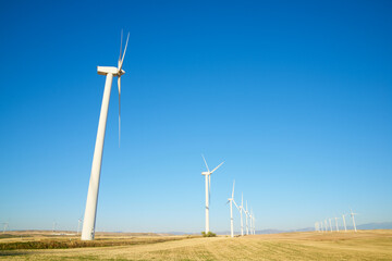 Wind turbine generators for sustainable electricity production