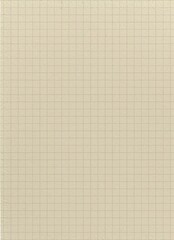 Vintage Blank Paper with Grid