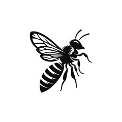 bee illustration