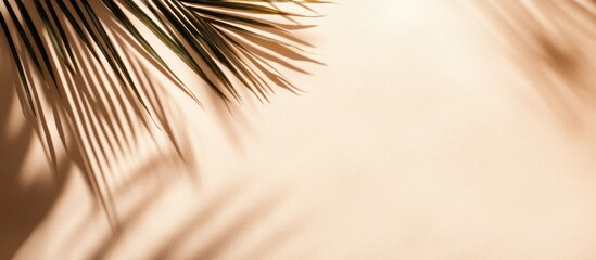 Obraz premium Palm Leaf Shadows on a Beige Background