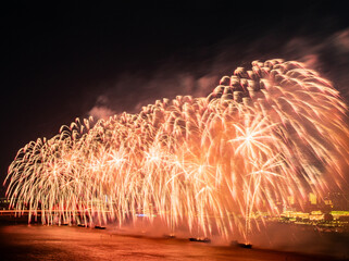 Fireworks at night beautiful blooming fireworks