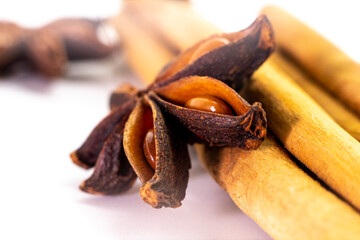 Cut orange and different spices  on white background. Traditional festive winter beverage.Cinnamon, dried orange, anise and cloves