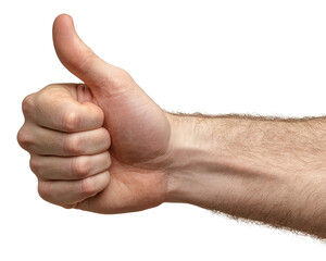 PNG A hand of white man with his thumb up thumbs human approval.