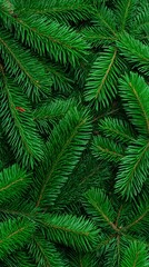 Fototapeta premium Christmas and New year background