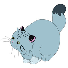 wild gray cat manul looks with surprise and curiosity, tail raised, easy to edit, vector clipart