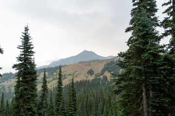 A stunning view of mountains on a rainy day from atop Hurricane Ridge.