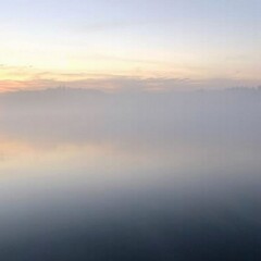 Obraz premium fog in nature