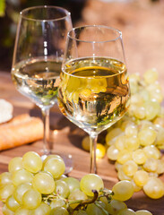 Glass of White wine grapes and bread on table in field