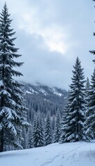 Majestic snow-covered pine forest in misty winter mountains with copy space
