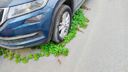 Urban spaces reclaimed by green plants, car tire engulfed by ivy, showcasing nature's endurance and contrast with human innovation, environmental harmony, copy space.