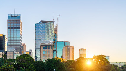 High-rise modern buildings during sunset, viewed as part of Sydney City skyline from the Royal Botanic Garden