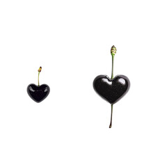 Two Heart-Shaped Cherries on White Background