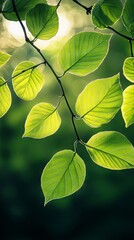 Bright green leaves background 