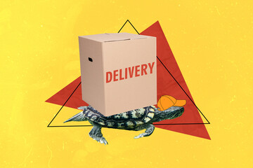 Creative image collage wild animal reptile turtle crawl delivery service carton box shipment...