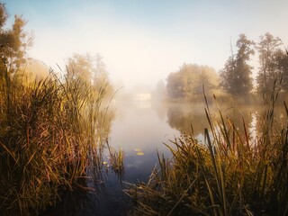 misty morning on the river