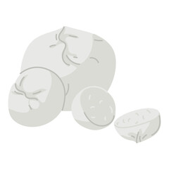 Mozzarella, a group of pieces of round cheese of different sizes on white. Traditional Italian baby mozzarella cheese. Flat design for cafe, restaurant, poster. Hand-drawn. dairy product