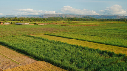 plots of fields in the mountains