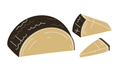 Hard cheese parmesan or pecorino Insulated set of half circle and triangular pieces conveniently sliced, vector illustration highlighted on a white background. For the menu of dairy products, cafes