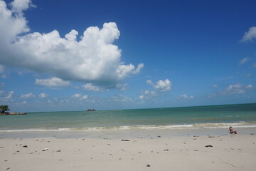 beautiful view of the sea coast. beautiful beach with sea view