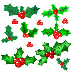 Christmas leaf holiday, vector, red, green, design holly element, merry, new, ornament,