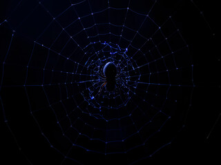 Fototapeta premium spider web on blue background