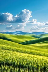 Obraz premium A stunning view of lush green hills and vibrant fields under a clear blue sky, showcasing the beauty of nature and tranquility of rural landscapes. Perfect for inspiration.