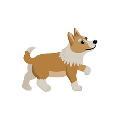 vector drawing cute puppy, little dog, welsh corgi at white background, hand drawn illustration