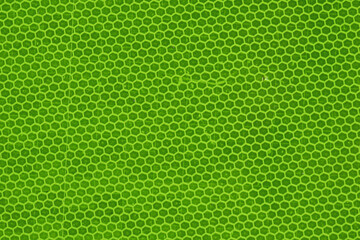 green texture background grass nature