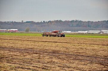 Farm tractor and equipment in the Holland Marsh in Ontario, Canada. Holland Marsh is a key source...