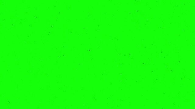 small spots on the screen like ants with green screen isolated
