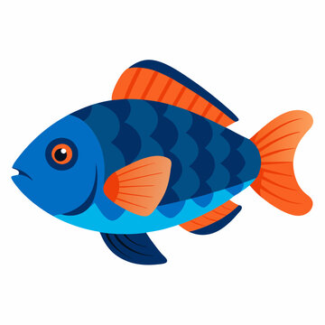 recommend clip art: Elegant Cichlid Vector Illustration Celebrating Diversity in Aquarium Fish
                    