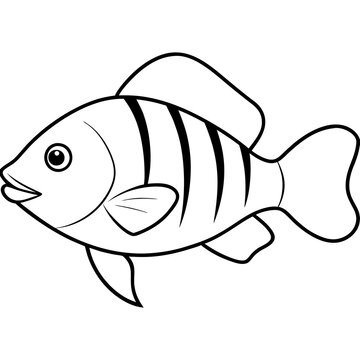 recommend clip art: Vibrant Cichlid Species Vector Illustration for Aquatic Art Enthusiasts
                    