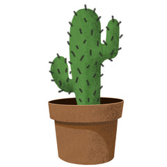 cactus in a pot