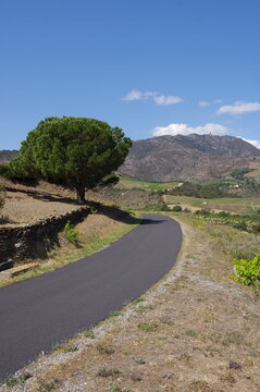 Piste cyclable en ville et &agrave; la campagne, am&eacute;nagement pour v&eacute;lo et bicyclette